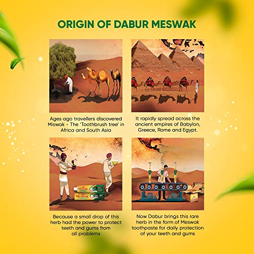 Dabur Miswak Herbal Toothpaste 158g Natural Oral Hygiene
