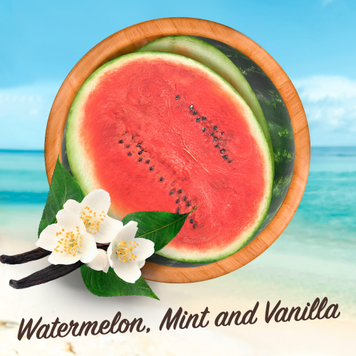 Malibu Lip Balm SPF30 3-Pack Watermelon Vanilla Mint