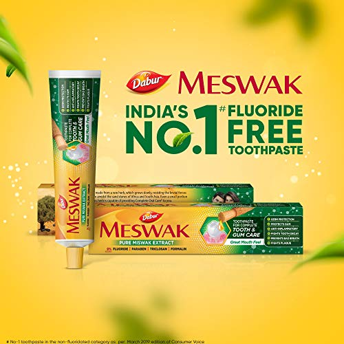 Dabur Miswak Herbal Toothpaste 158g Natural Oral Hygiene